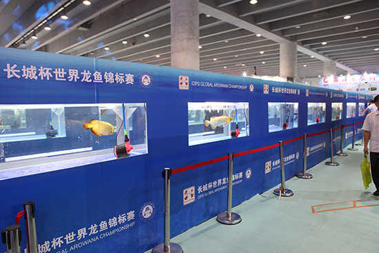 1603869805385362.jpg 10.jpg