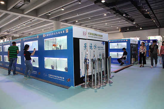 1603869822121910.jpg 13.jpg