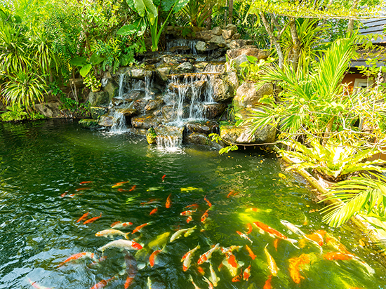 1604402522632166.jpg 00.jpg