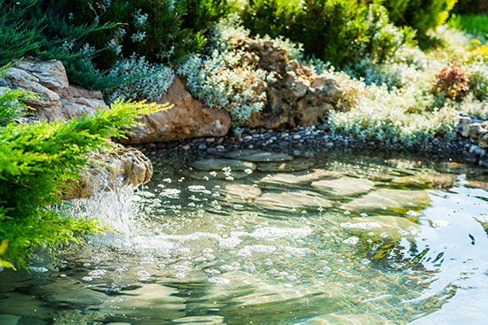 1604484424473816.jpg 03.jpg